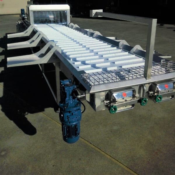 Fruit and vegetable washing tank with processing belt